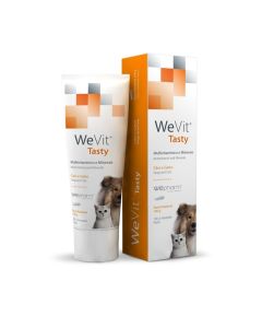 WEVIT GEL 100ML