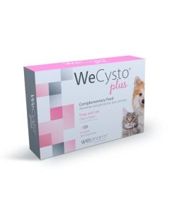 WECYSTO PLUS 30 TAB